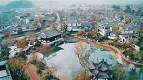 蓝城-桃李春风